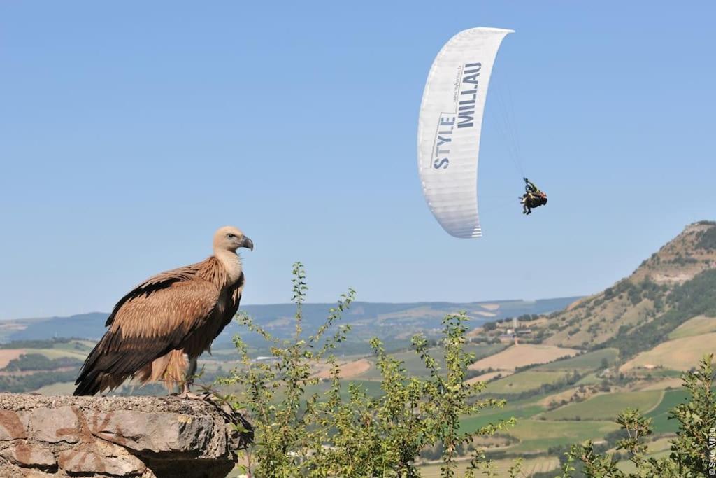 Confort, Wifi Et Garage Millau Exteriör bild